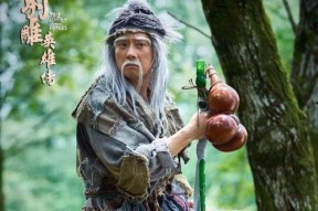 洪七公照片,武林传奇，一代宗师的风采再现