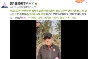 姚慧什么背景,从平凡起点到璀璨明星的逆袭之路